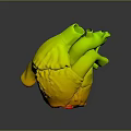 Detailed 3D Model of Human Heart with Red Pink Tissues and Blood Vessels