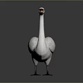 White Swan With Yellow Beak And Black Feet Standing On Gray Background