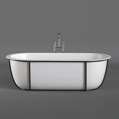 Modern Minimalist Free Standing Oval Shaped Bathtub With White Body And Black Metal Frame 3d model