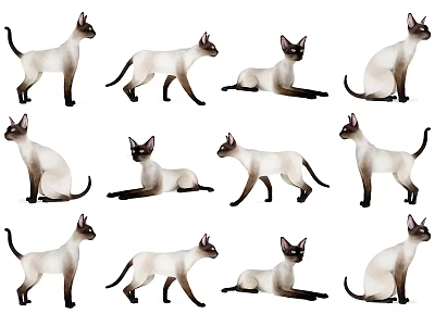 Reptile Various Poses With Brown White Scales Isolated On White Background 3d model