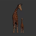 Giraffe Stuffed Toys Large And Small Standing With Spotted Pattern 3d model