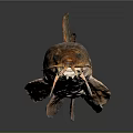 Long Bodied Fish With Whiskers And Brown Orange Coloration On Gray Gradient Background