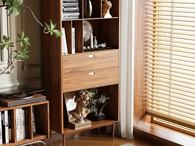 Elegant Wooden Bookcase Interior With Books Decorative Statue Drawers And Window Blinds 3d model