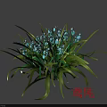 Vibrant Blue Iris Flowers With Lush Green Leaves And Fresh Blooms