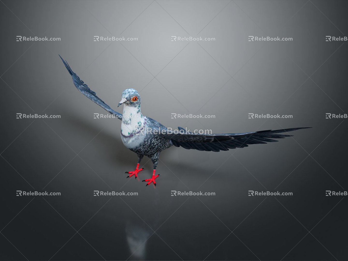 Modern carrier pigeon food pigeon play pigeon racing pigeon racing 3d model