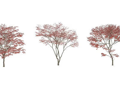 Three Lush Arbor Trees with Vibrant Red Autumn Leaves in Row 3d model