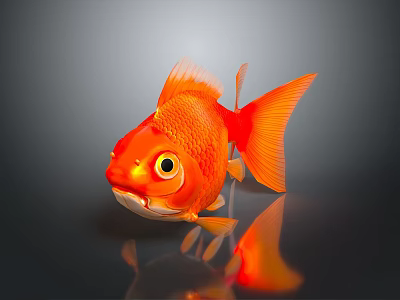 Vibrant Red Goldfish With Big Eyes Orange Scales And Reflection On Gray Background 3d model