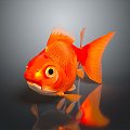 Fish Goldfish Freshwater Fish Sea Fish Animal Game Animal Cartoon Animal Animal Realistic Animal 3d model