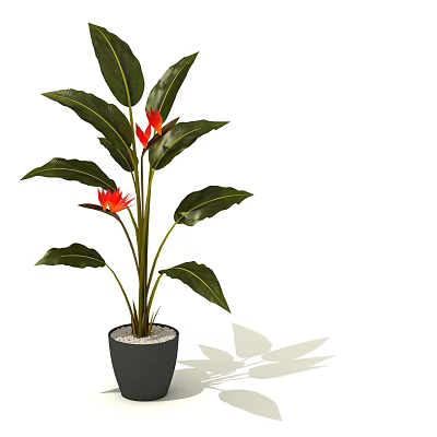 Bonsai Potted Plant With Green Leaves And Red Flowers In Black Pot For Indoor Decor 3d model