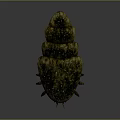 Ancient Trilobite Prehistoric Marine Arthropod With Segmented Body Spotted Exoskeleton And Multiple Legs