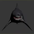 Shark 3D Model With Grayish Blue Body Open Mouth Fins And Tail On Gray Background