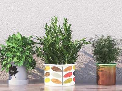 Lush Green Potted Plants In Decorative Patterned Pots On Wooden Table 3d model