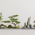 Japanese Karesansui Dry Landscape Garden With Rocks Pine Trees Bamboo And Lanterns