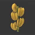 Fresh Yellow Bananas Bunch with Ripe Fruits on White Background
