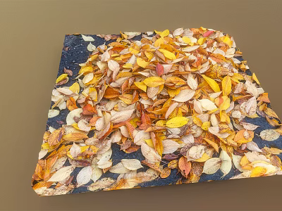 Colorful Autumn Leaves Scattered On Dark Square Surface With Natural Tones 3d model