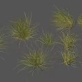 3D Rendered Green Grass Clumps With Various Shapes And Sizes For Decorative Design