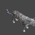 Wildlife Snow Leopard Standing Gracefully With Spotted Coat In Natural Mountain Habitat