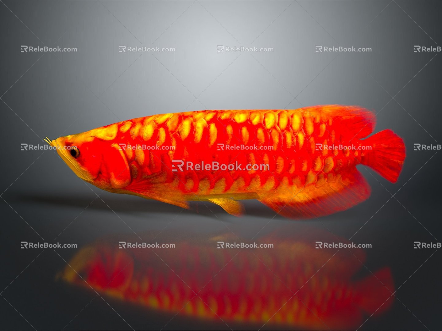 ichthyosaur golden dragon fish dragon fish dinosaur whale cartoon whale mammal marine mammal 3d model