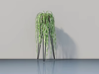 Potted Bonsai Plant With Long Trailing Green Leaves On Black Metal Stand Against Gray Wall 3d model