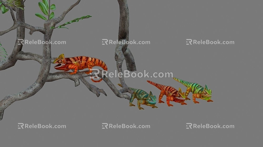 chameleon lizard reptile 3d model