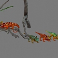 chameleon lizard reptile 3d model