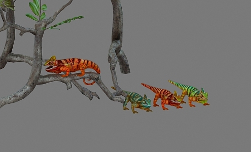 chameleon lizard reptile 3d model