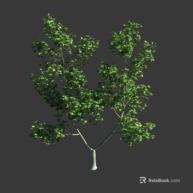 Lush Green Arbor With Dense Foliage Branchy Structure And White Trunk 3d model 