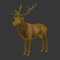 Brown Deer With Large Antlers Standing On White Background 3d model