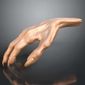 3D Rendered Human Hand With Copper Metallic Finish Detailed Skin Texture And Dark Surface Reflection