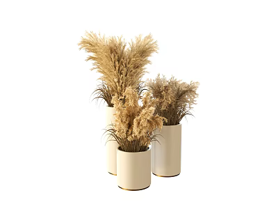 White Ceramic Vases With Natural Dried Pampas Grass Arrangement For Home Decor 3d model