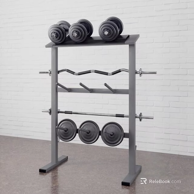 Home Gym Fitness Equipment Storage Rack With Dumbbells Barbell And Weight Plates 3d model 