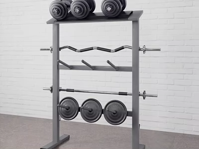 Home Gym Fitness Equipment Storage Rack With Dumbbells Barbell And Weight Plates 3d model