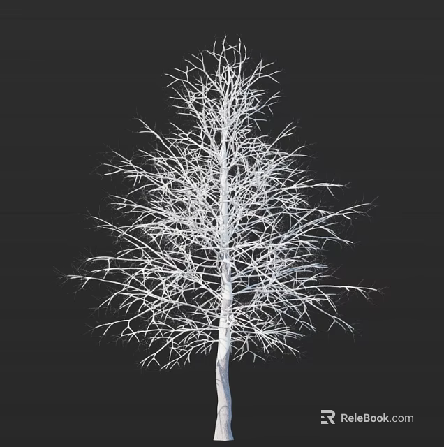 Leafless Tree With Slender Branches On Black Background Clear Structure 3d model 