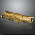 Natural Plant Wood Log With Smooth Texture And Brown Tones On Black Surface