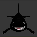Black And White Killer Whale With Dorsal Fin Open Mouth Showing Teeth