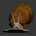 Snail Cartoon Snail Small Snail Reptile Cold Blooded Animal Reptile 3d model