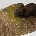 Realistic Animal Decorative Ornament Set with Brown Mouse Green Moss and Dry Grass on Rock