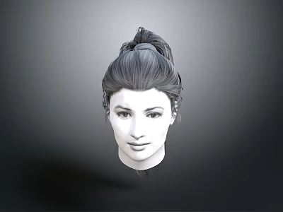 Realistic 3D Head Model With Detailed Facial Organs And Structured Hair Bun 3d model