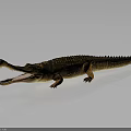 Realistic 3D Crocodile Model with Open Mouth and Brown Skin Texture on Gray Background
