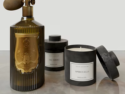 Elegant Luxury Home Fragrance Products With Scented Spray Bottle And Aromatic Candles 3d model