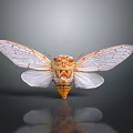 Vibrant Cicada With Transparent Veined Wings And Orange Yellow Body On Dark Background With Reflection