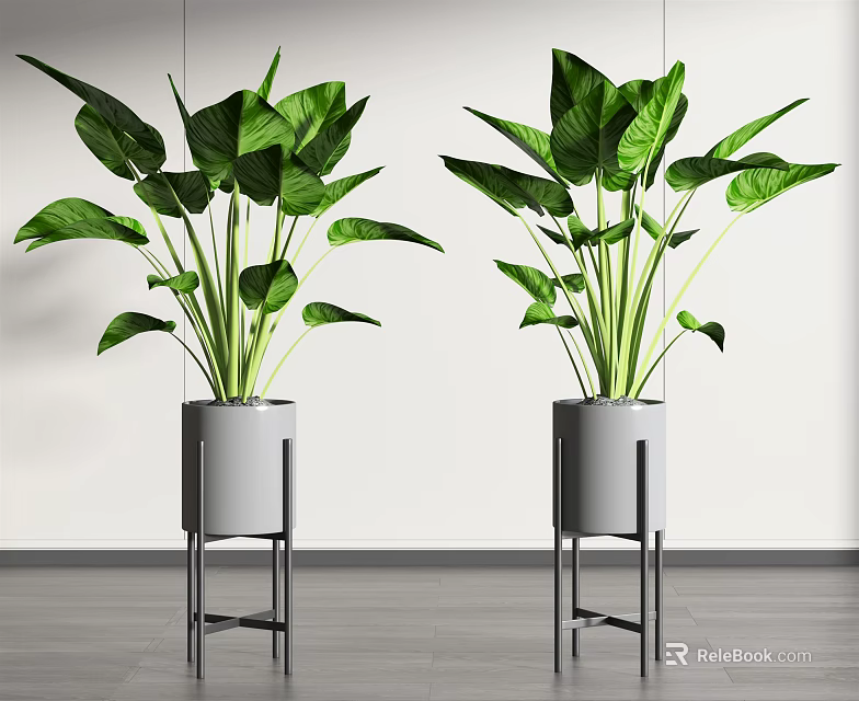 Large Leafy Green Potted Plants In Gray Pots With Metal Stands Indoor 3d model 