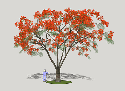 modern tree phoenix wood 3d model