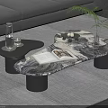 Minimalist Irregular Marble Coffee Table With Open Book Green Plant And Side Table