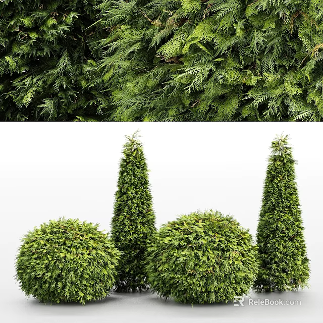 Lush Green Garden Topiary Shrubs with Spherical and Conical Shapes for Landscaping 3d model 