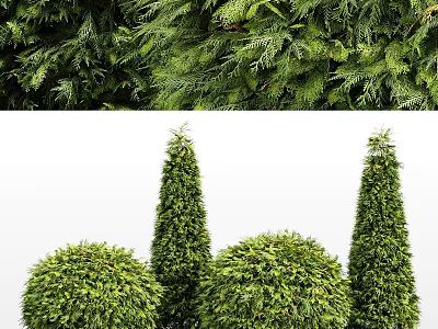 Lush Green Garden Topiary Shrubs with Spherical and Conical Shapes for Landscaping 3d model