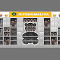 JU FENG MALIYA Retail Display With Stuffed Toys On Shelves And Store Setup
