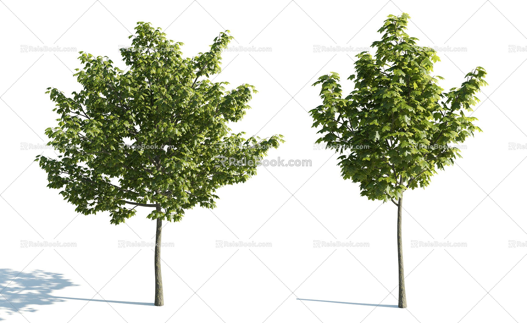 The Modern Tree 3d model