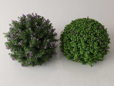 Lush Round Garden Shrubs With Purple Flowers And Vibrant Green Leaves 3d model