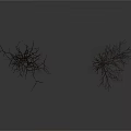 Two Leafless Trees Against White Background With Reflective Ground Surface